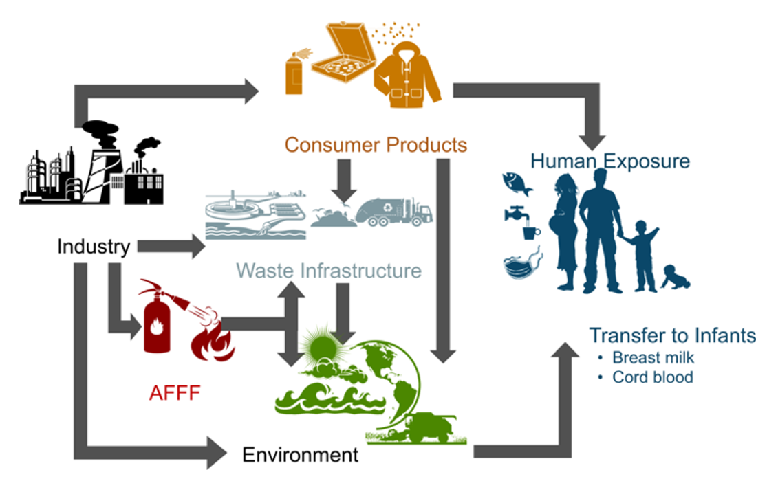 Scopri di più sull'articolo PFOS e PFOA: cosa sono?